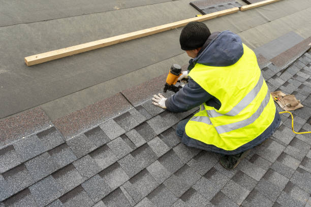 Best Local Roofing Companies  in Tecumseh, MI