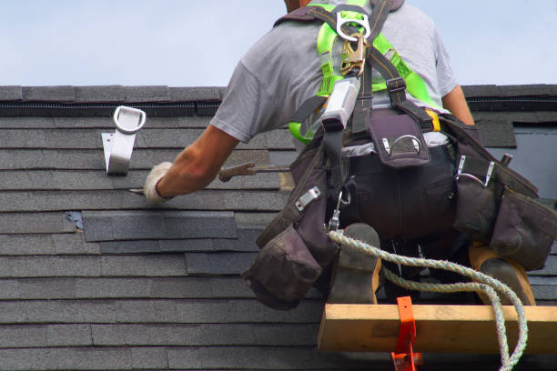 Best Local Roofing Companies  in Tecumseh, MI