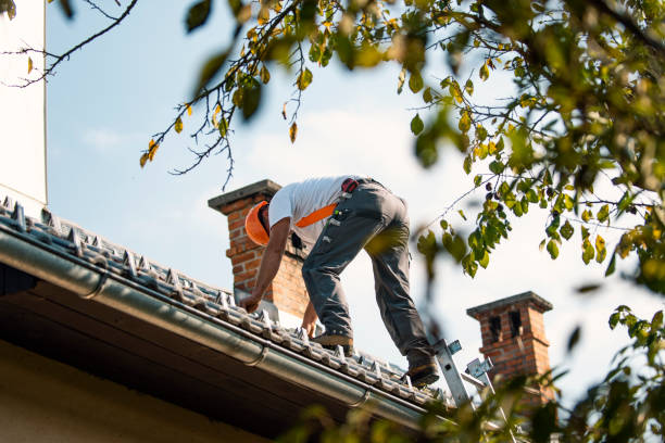Best Emergency Roof Repair  in Tecumseh, MI