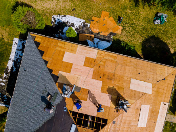 Best Best Roofing Contractors  in Tecumseh, MI