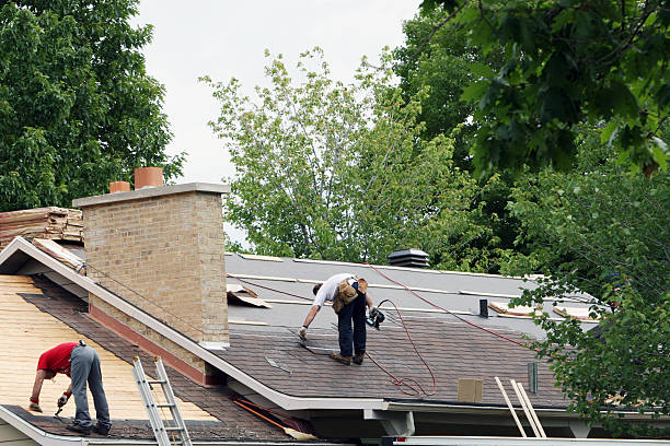 Best Roof Leak Repair  in Tecumseh, MI