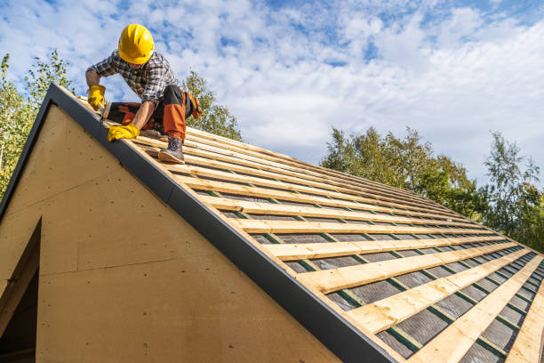 Best Roof Maintenance Services  in Tecumseh, MI