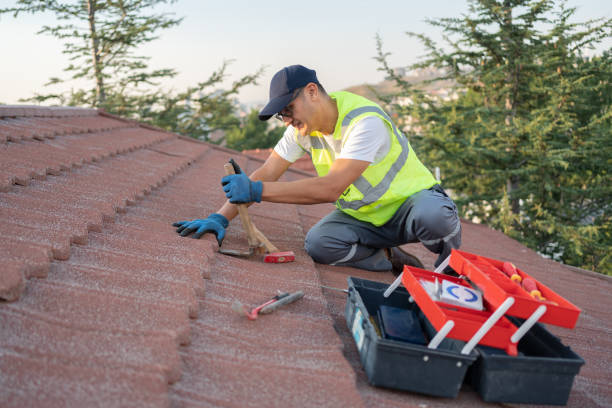 Best New Roof Installation  in Tecumseh, MI