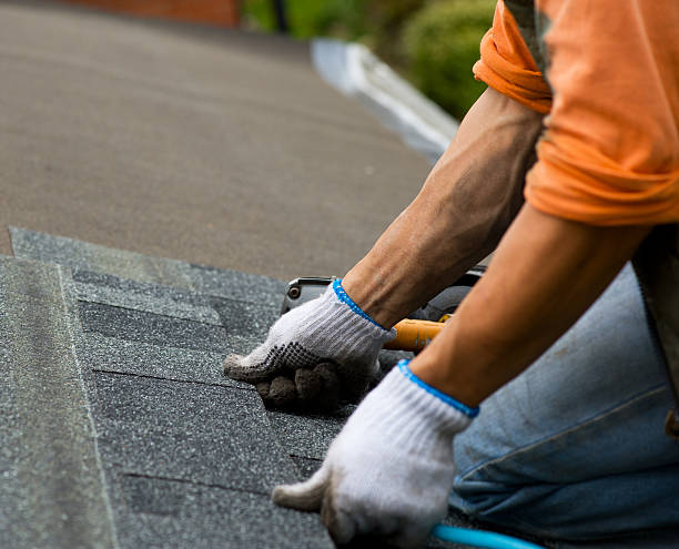 Best Shingle Roofing Installation  in Tecumseh, MI