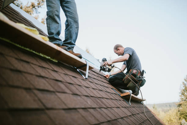 Best Roof Restoration Services  in Tecumseh, MI