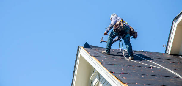 Roof Gutter Cleaning in Tecumseh, MI